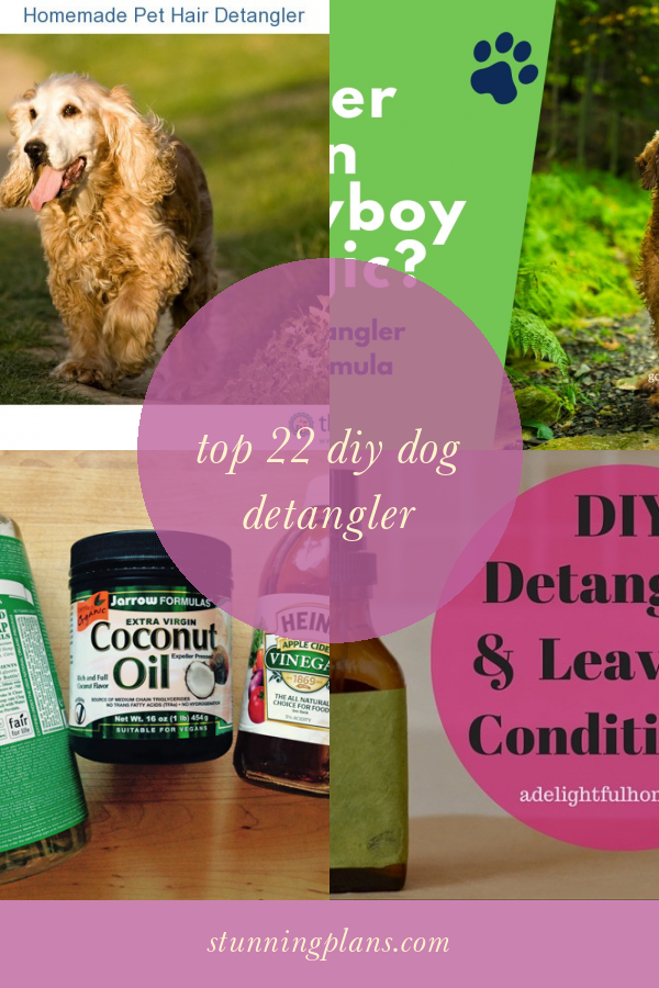 Top 22 Diy Dog Detangler Home, Family, Style and Art Ideas